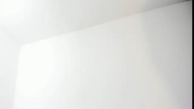 Nina_voss webcam