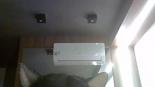 SkinnyKitten webcam