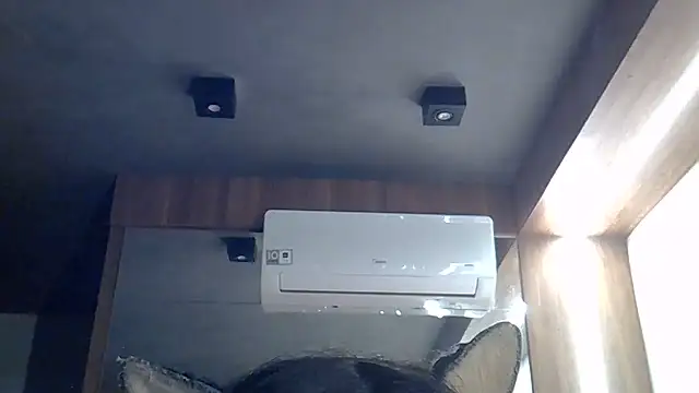 SkinnyKitten webcam