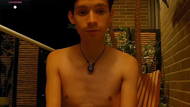 VicenteFerrer webcam