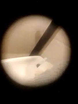 destroassbig2 webcam