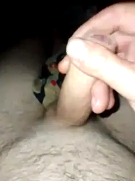 Pavlosss webcam