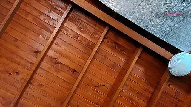 SilvaBranko webcam