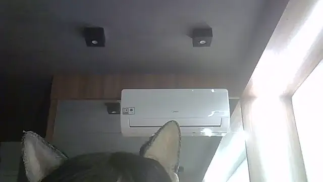 SkinnyKitten webcam