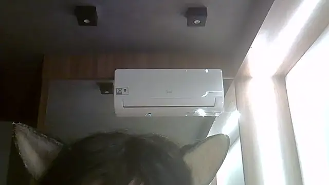 SkinnyKitten webcam