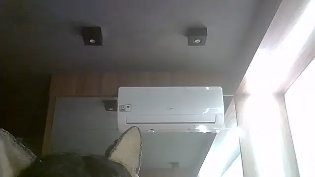 SkinnyKitten webcam