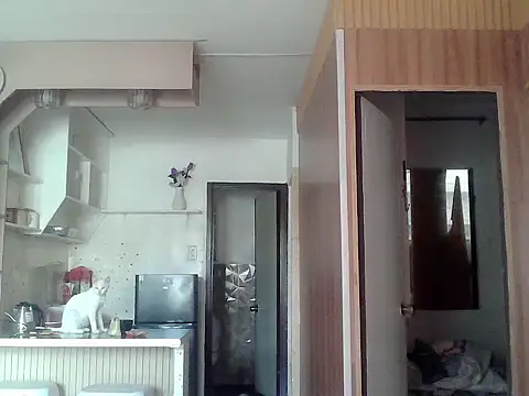 bigcockkyla webcam