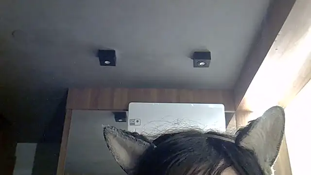 SkinnyKitten webcam