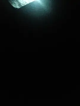 dicktortor webcam