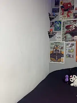 XBODTRIIPX webcam
