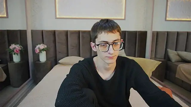 RonBevs webcam
