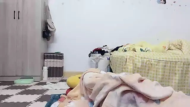 Belle-LL webcam