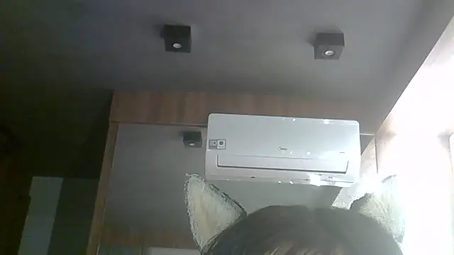 SkinnyKitten webcam