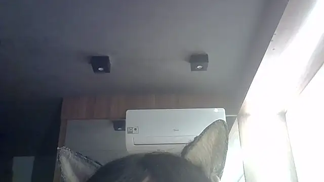 SkinnyKitten webcam