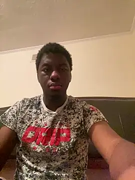 ThickDic28 webcam