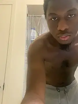 ThickDic28 webcam
