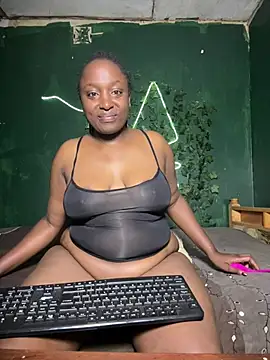 Sollybunny webcam