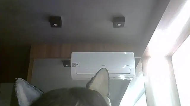 SkinnyKitten webcam