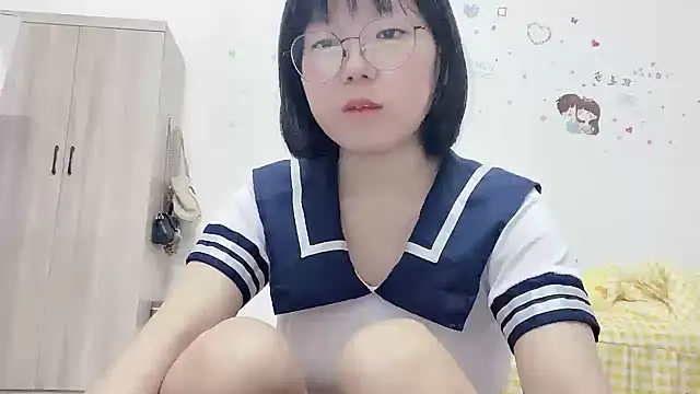 Belle-LL webcam