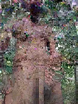 Rinku5553 webcam
