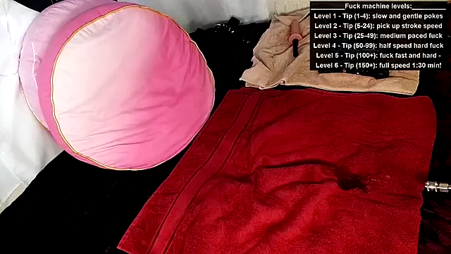GamerGirlRoxyAndLee webcam