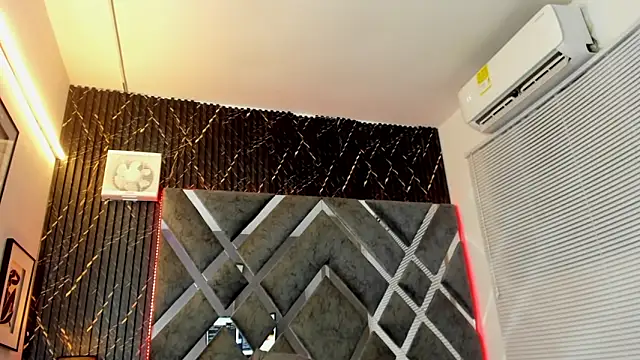 dominic_connor webcam
