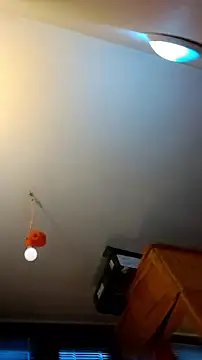 daddys_sub_sissy webcam
