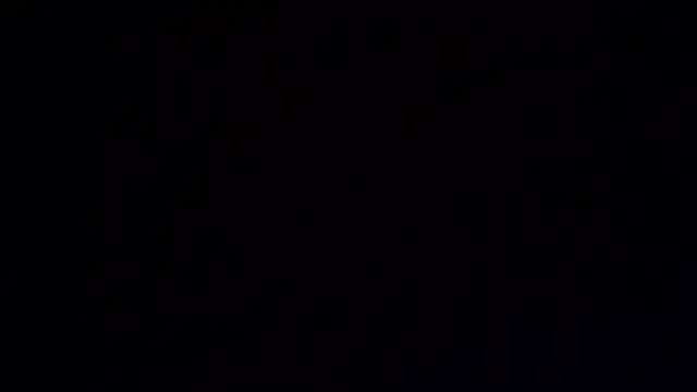 lhexiecollins webcam