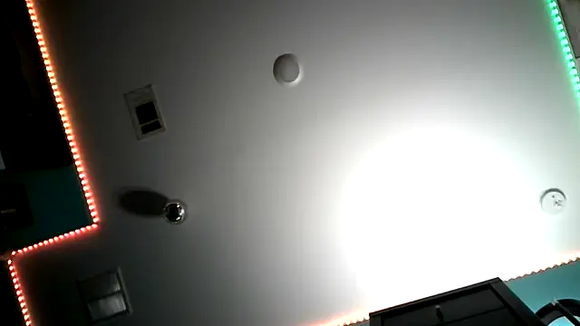 TheGAPEgatsby92 webcam