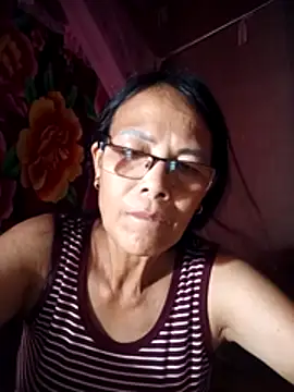 toyo_668 webcam