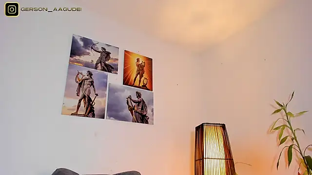 Gersonzt webcam