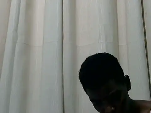 leestyline webcam