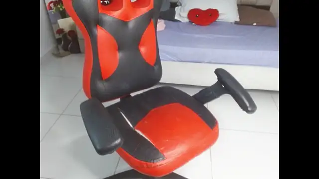 Axel_fox77 webcam