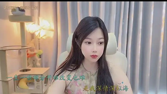 facai-feifei webcam