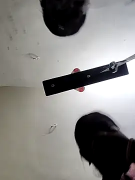 yamini1431 webcam
