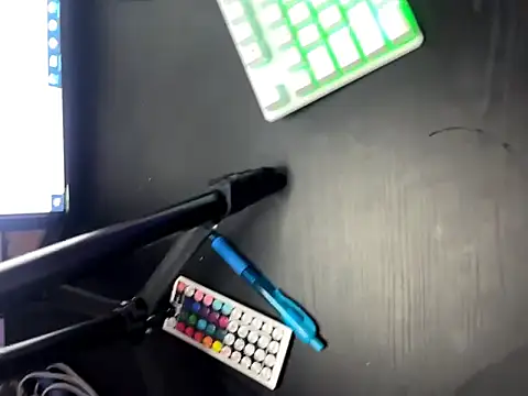 Zion_draftt webcam