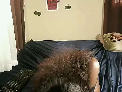 Miragea webcam