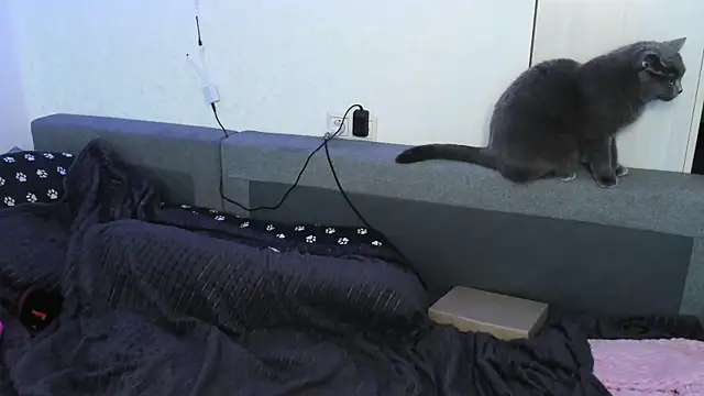 Dark_Moni webcam