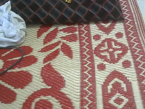 desi_llund webcam
