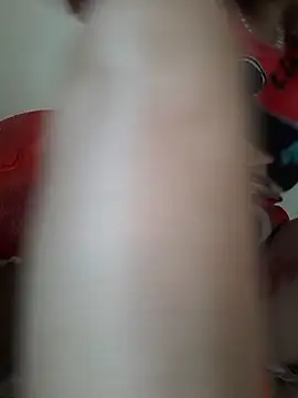 -Tara-a webcam