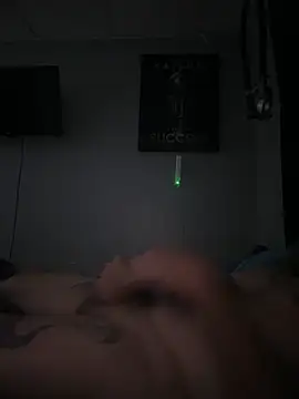 THE-CHAMPLOVENIPPLES73 webcam