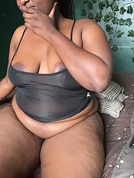 Sollybunny webcam
