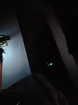 tripexnte webcam
