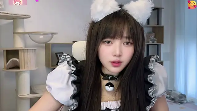 SakuraCat6 webcam