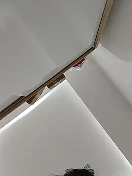 _Lisa_Nguyen webcam