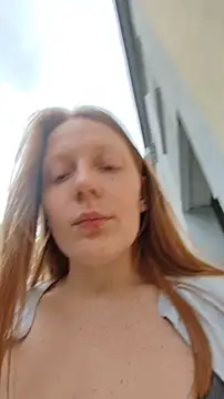 FENIX_ZLA webcam