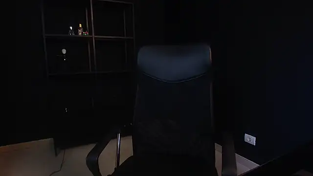 FelixStarkk webcam