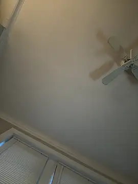 chi-cock webcam