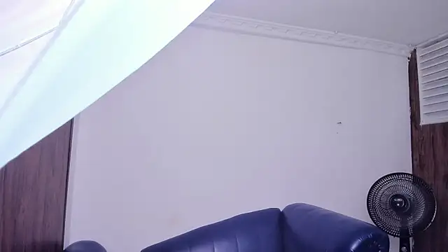 kavencastro webcam