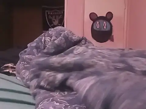 Blkstylion webcam